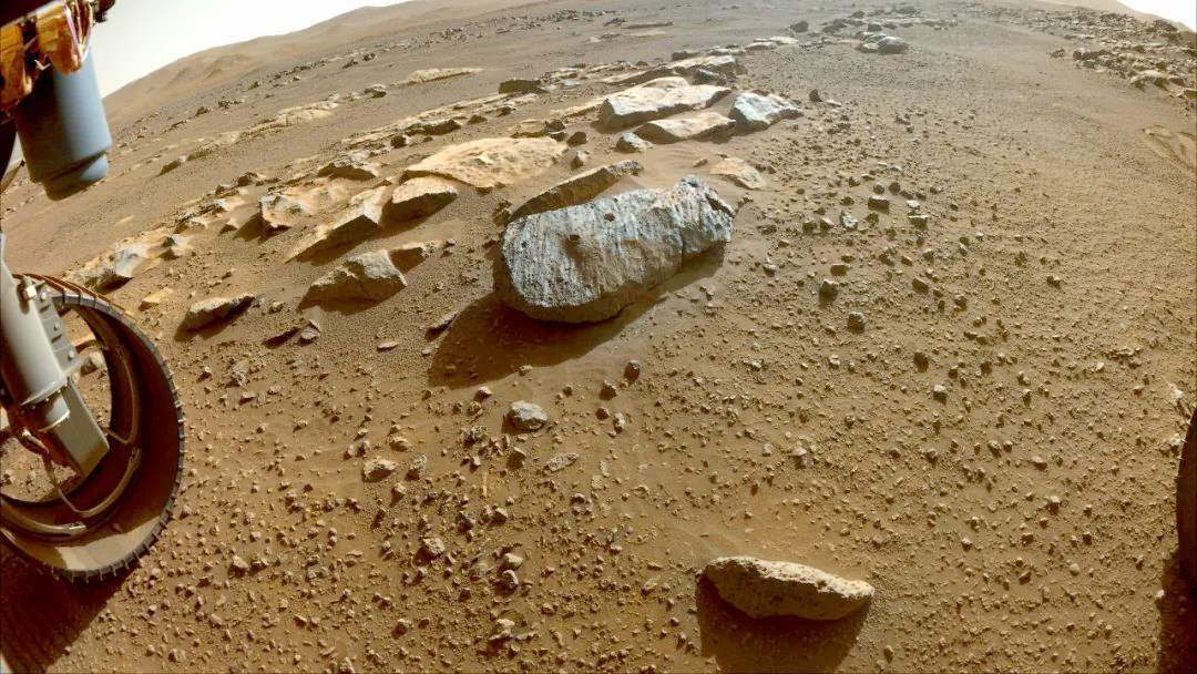 地球是唯一的碳基生命星球吗,为什么地球不选择硅基生命体呢