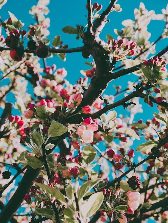 知识改变命运,分享一些提升学习效率的经验