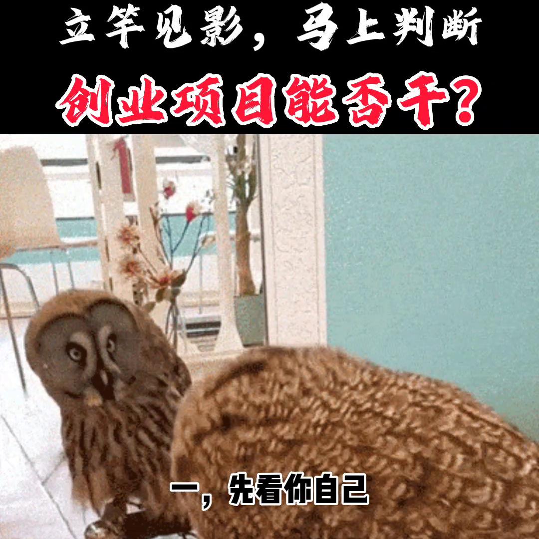 如何在创业初期判断项目是否赚钱,创业第一步如何正确选择项目