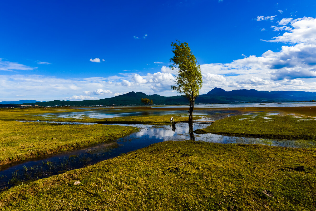 丽江拉市海茶马古道沿途风景,丽江旅游攻略茶马古道