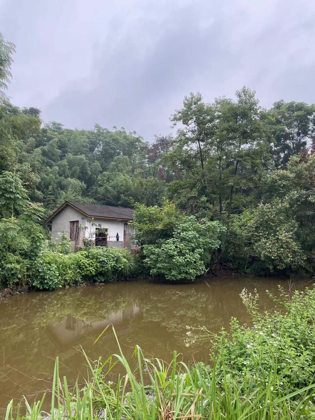 80多岁老人花两万块过葬礼,湖南一八旬老太为自己办葬礼