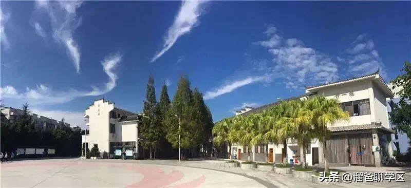 鎴愰兘涓冧腑寮曡繘澶╁簻鏂板尯,寮曡繘鎴愰兘涓冧腑澧ㄦ睜涔﹂櫌