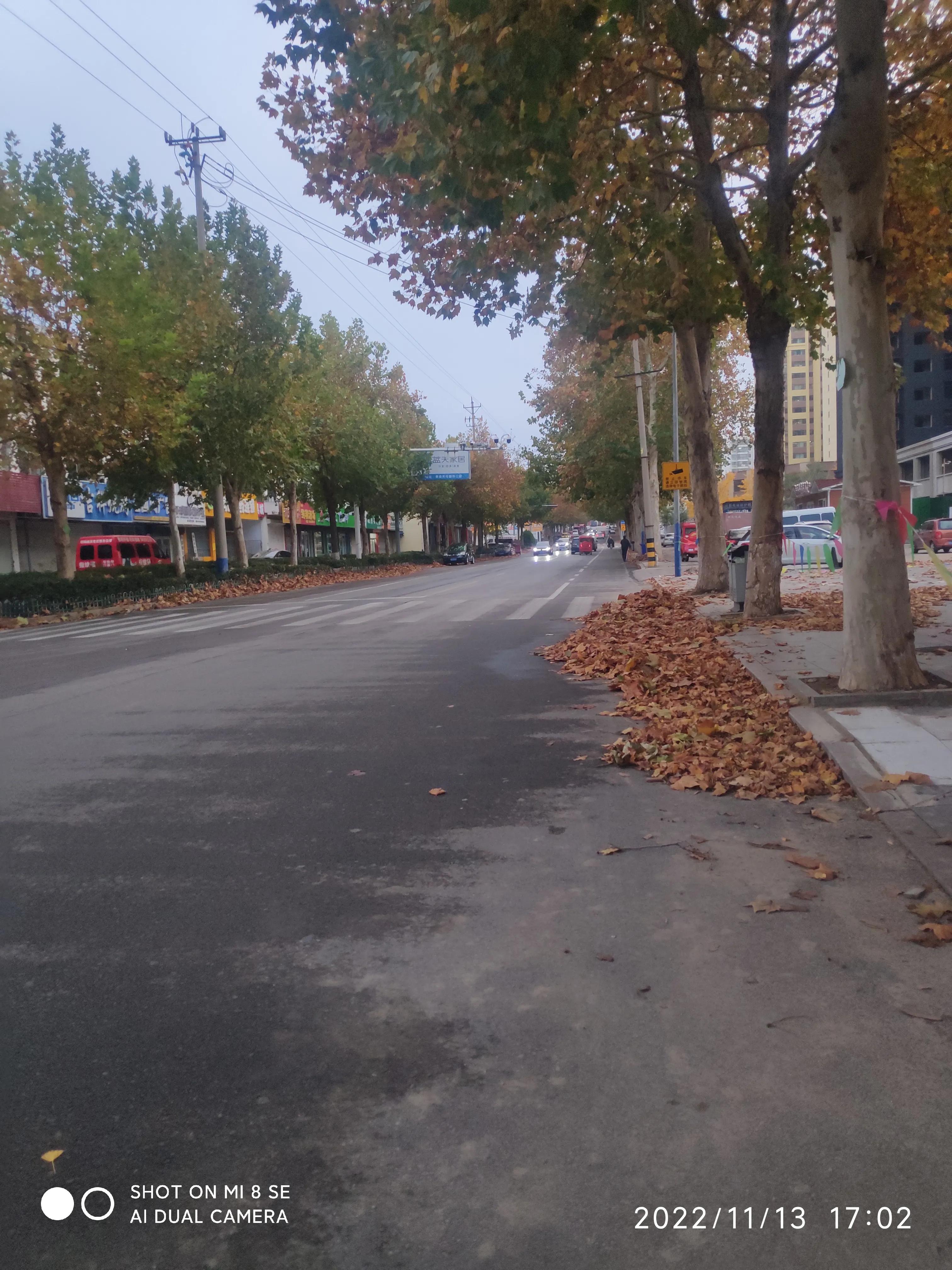 解封帖,解封记录怎么查