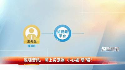 大街上免费领养狗是什么套路,中了免费领养猫咪是什么套路