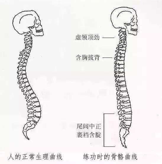 意拳站桩和太极拳站桩的区别,深度细讲太极拳站桩功法