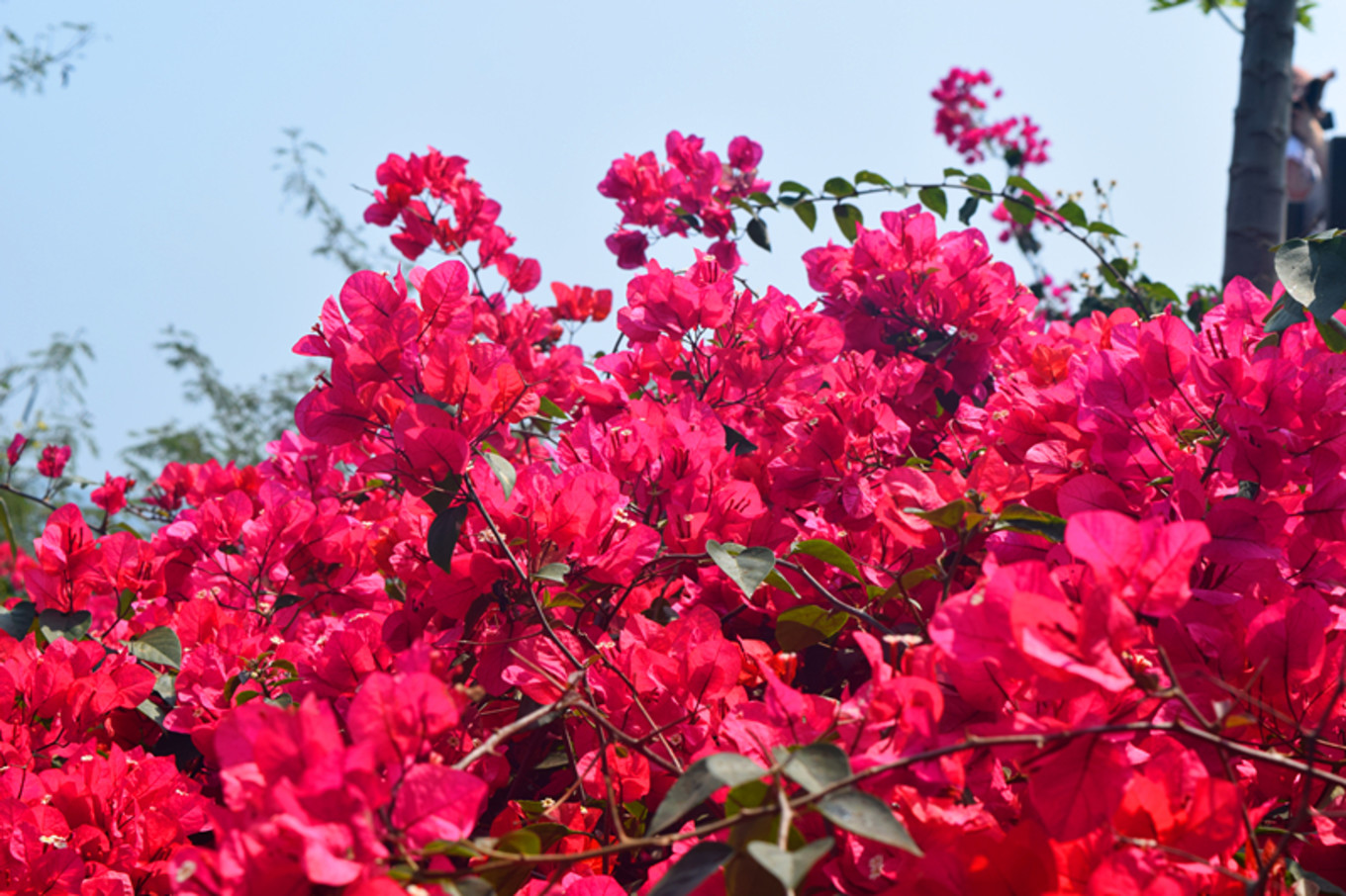 地图迷穷游中国之北海,穷游北海怎么玩