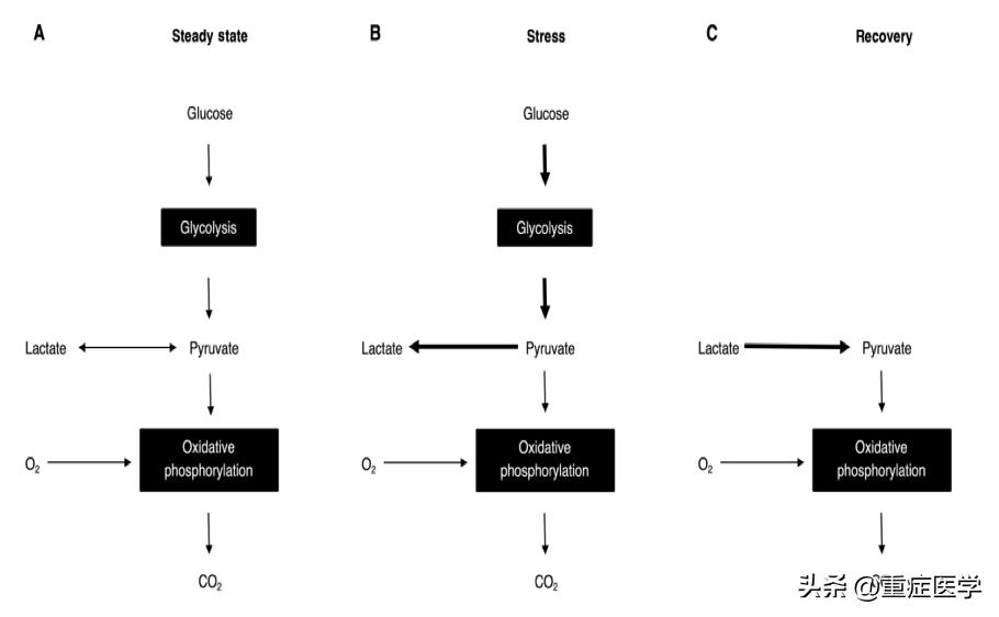 乳酸性酸中毒诊断标准,如何预防乳酸酸中毒