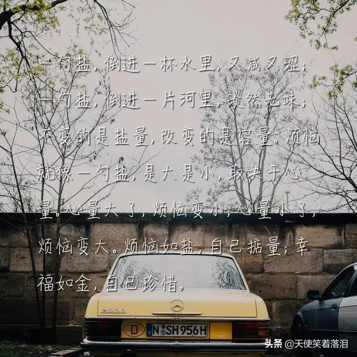 简短好句摘抄大全三年级,简短好句摘抄加批注