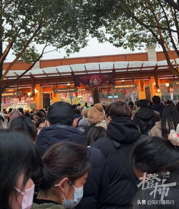 迪士尼买玩偶憋到尿血事件分析,迪士尼排队买玩偶一男子当场崩溃