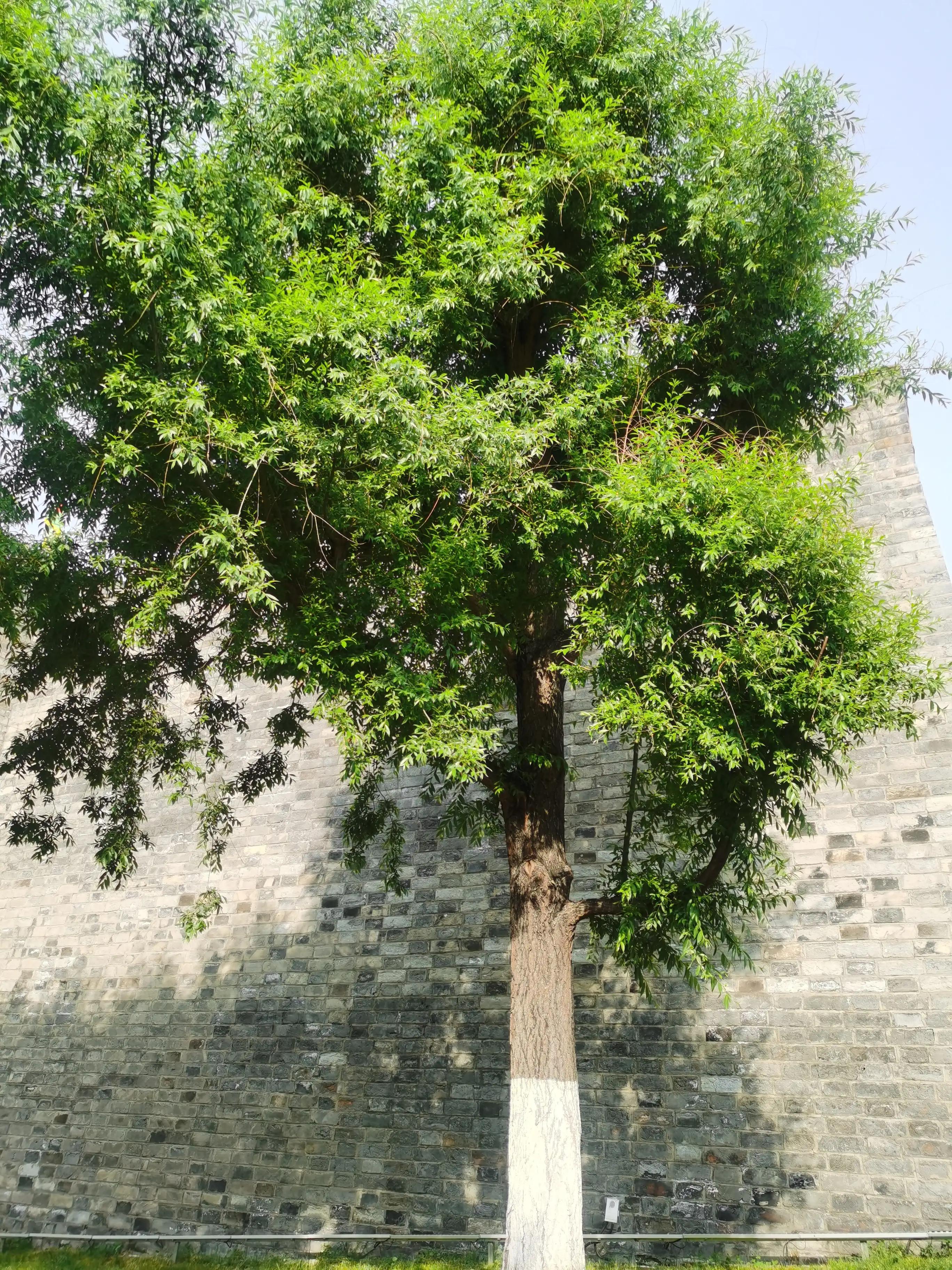 古城松潘的护肤品,松潘古城