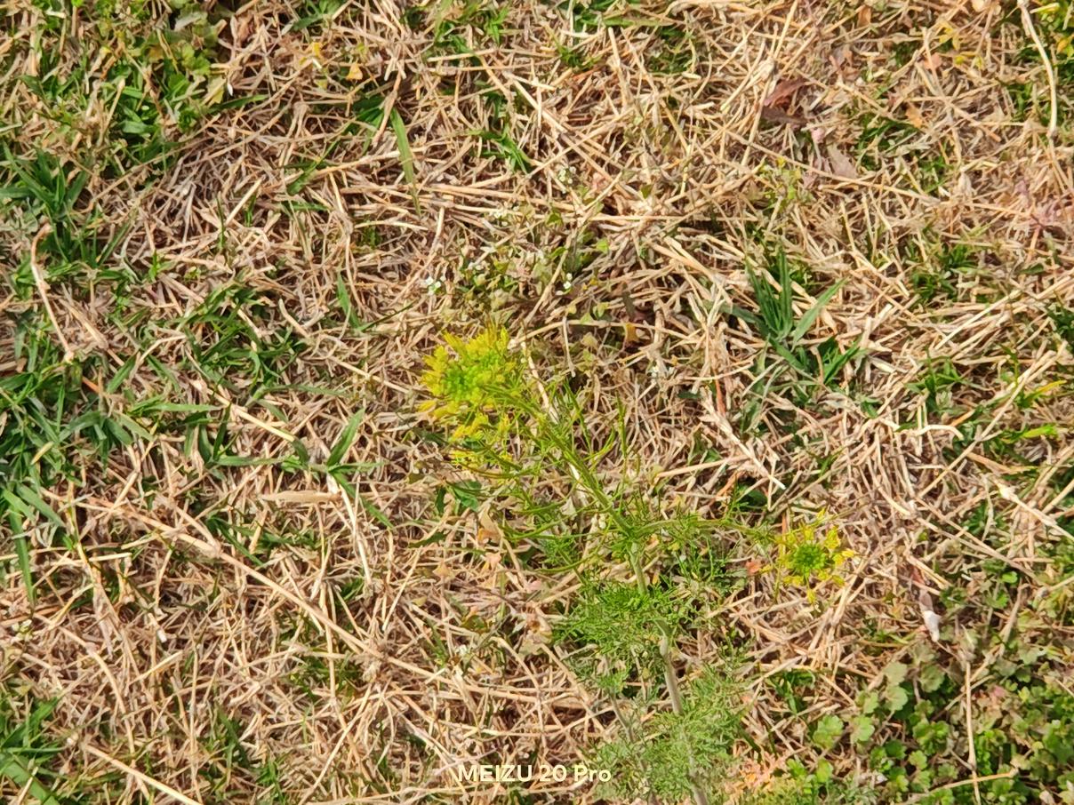 魅族20哪一款综合性能好,魅族20系列四款对比