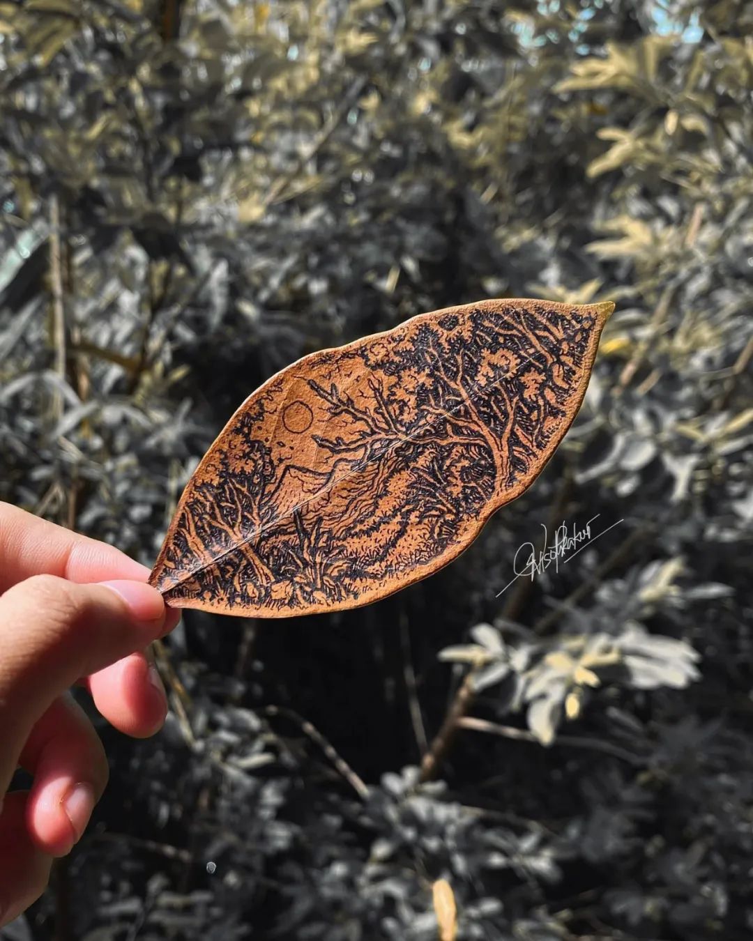 治愈强迫症的画,看了让人强迫症发作的画