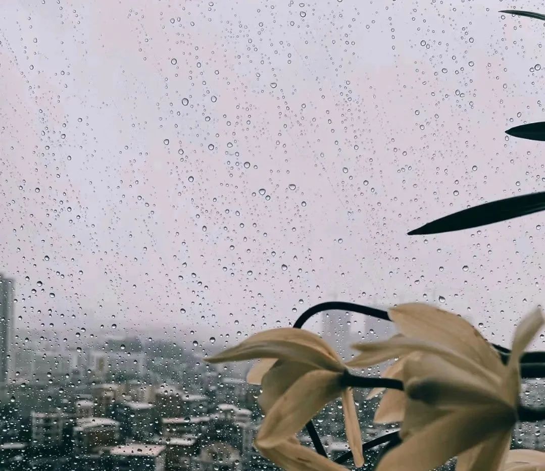 门窗渗漏分析,沃伦门窗渗水严重