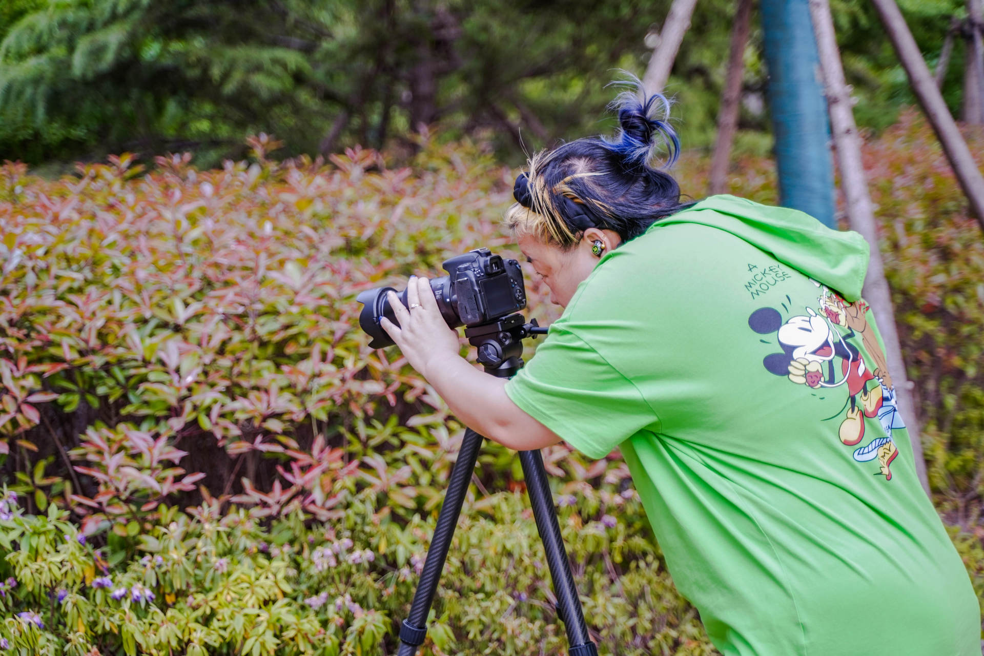 佳鑫悦428c碳纤维三脚架,佳鑫悦px428三脚架