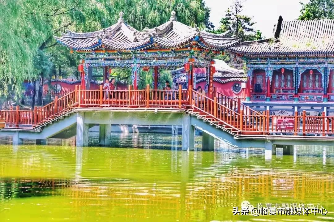 临夏湿地公园建设项目,临夏城市公园绿化工程