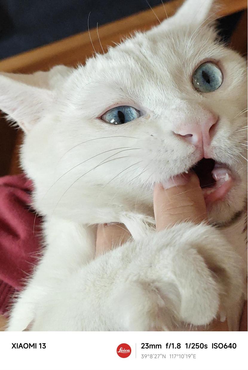 小米13外观使用体验,小米13全黑环境拍照测试