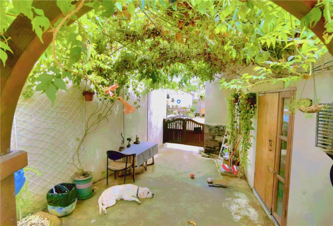 檀健次是南方的男孩,檀健次的家乡