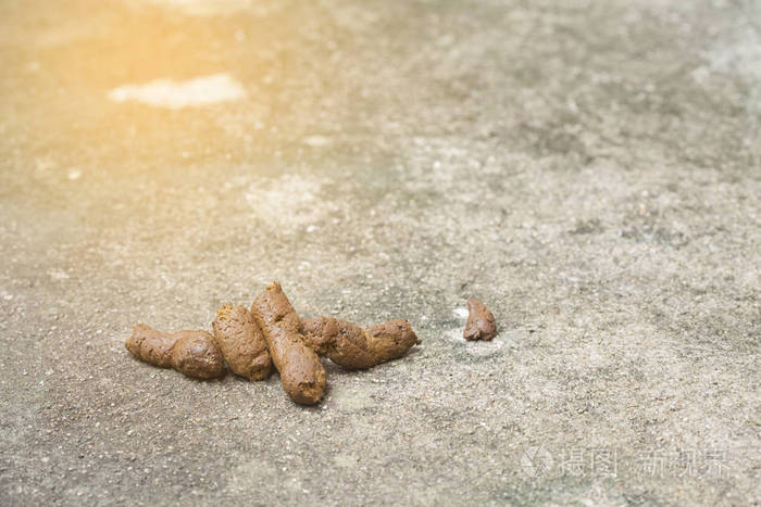 上海遛狗不拴绳男子已被处罚,上海遛狗打人者已被刑拘3年