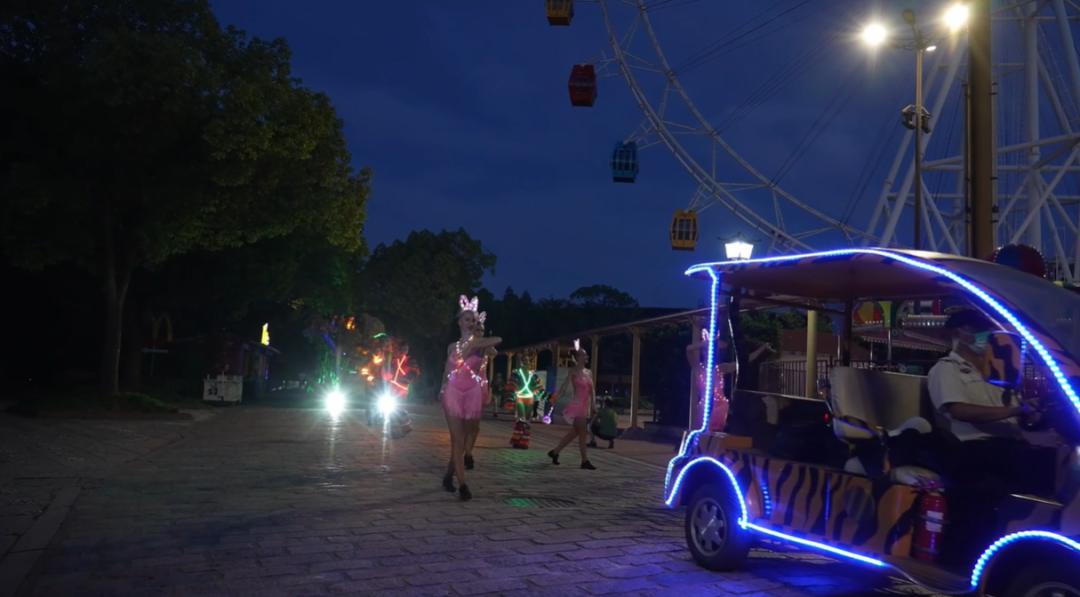 上海沉浸式夜游公园,上海森林公园夜游