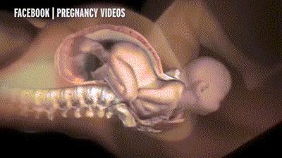 产科门诊带教老师对学生的评价,产科医生要求剖腹产无指征