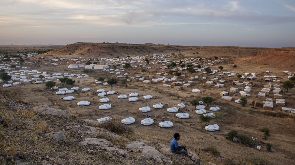 非洲大饥荒有多可怕？1年饿死1600万人，吃野草充饥犹如人间炼狱