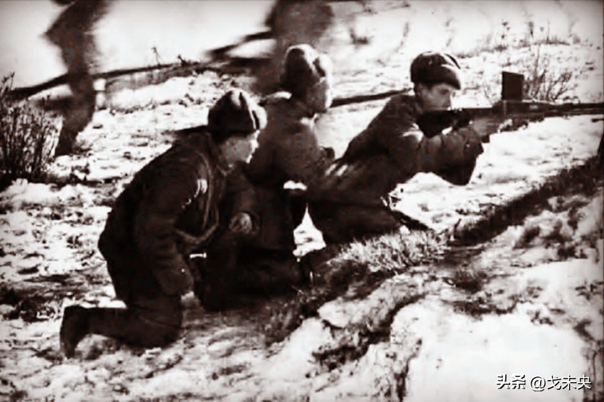 围歼北极熊团敌我伤亡,围歼北极熊团用了多少兵力啊