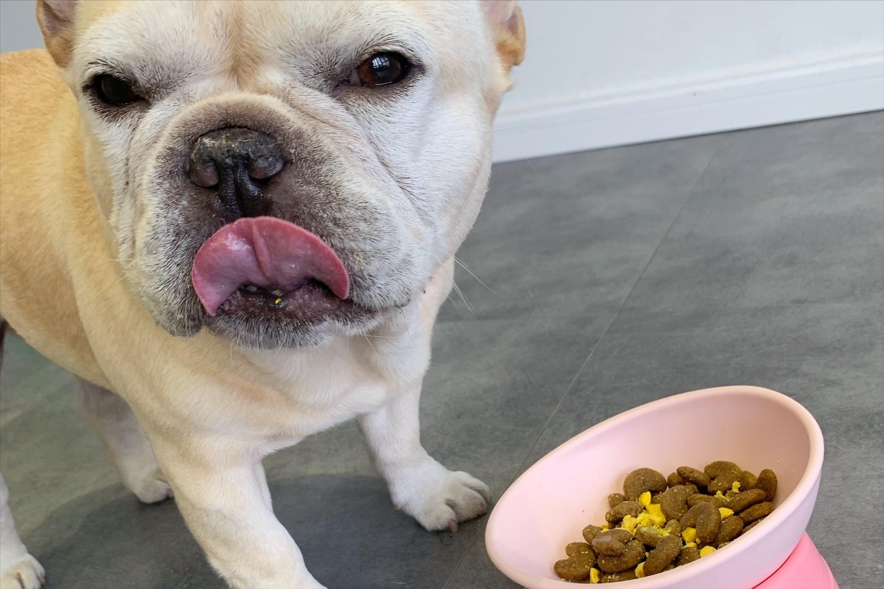 国产狗粮现状,国产狗粮到底能不能买