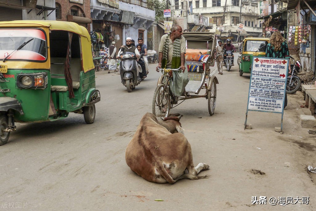 船到印度，船员两天两晚的遭遇让人懊恼，真实经历让人难以想象