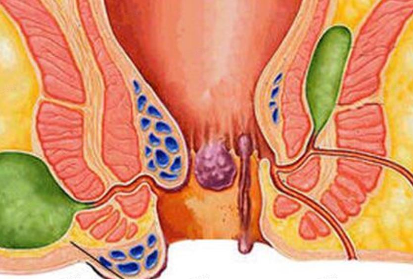 你有洗屁股的习惯吗,你有洗冷水澡的习惯吗