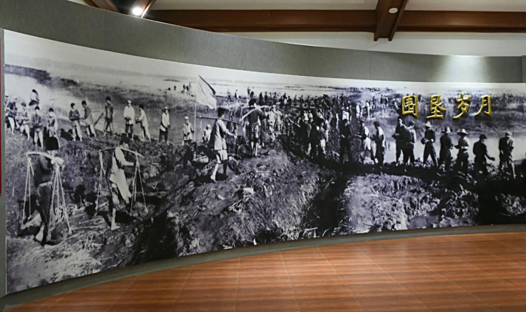 奉贤海湾镇的发展,奉贤海湾镇最新发展