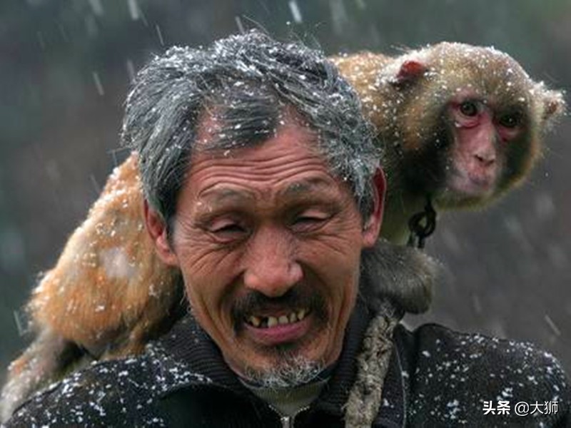 鐚村瓙闈炲父鍑剁寷,鐚村瓙鍑剁寷