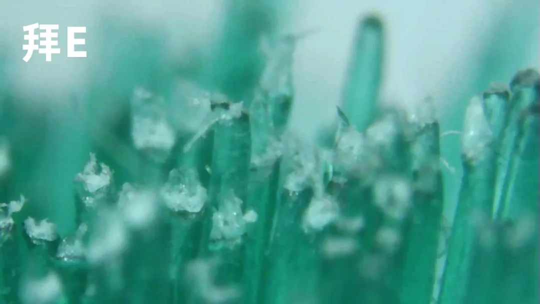 儿童声波全自动电动牙刷测评,显微镜下看牙刷