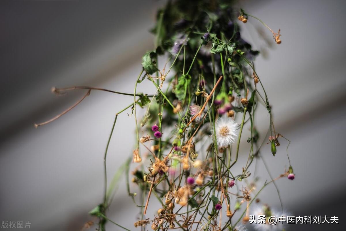 毛囊炎长痘痘你们怎么治好的,毛囊炎痘痘去除视频