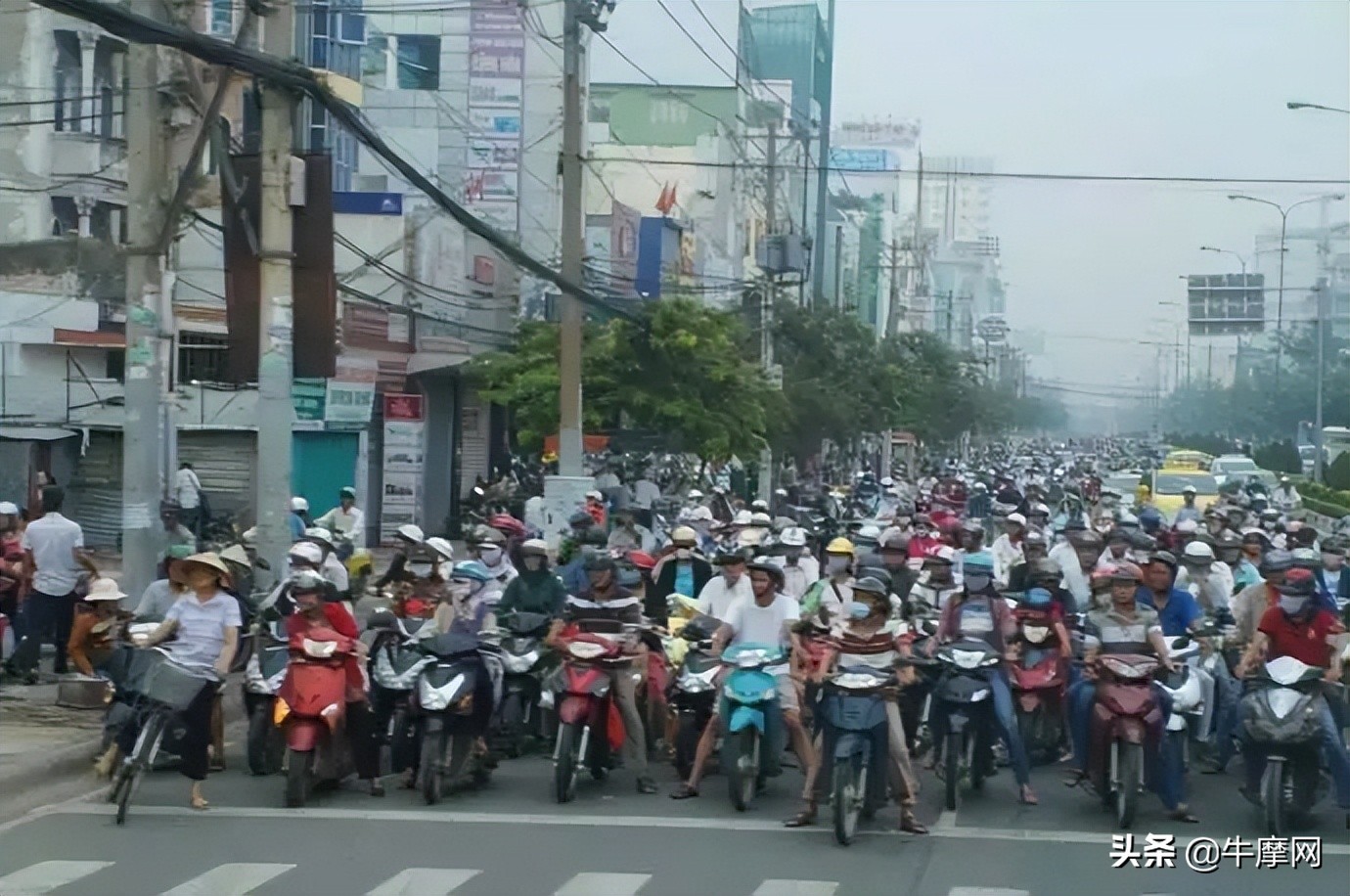 摩生人：国产中大排内卷互残加剧，最终谁成谁败？