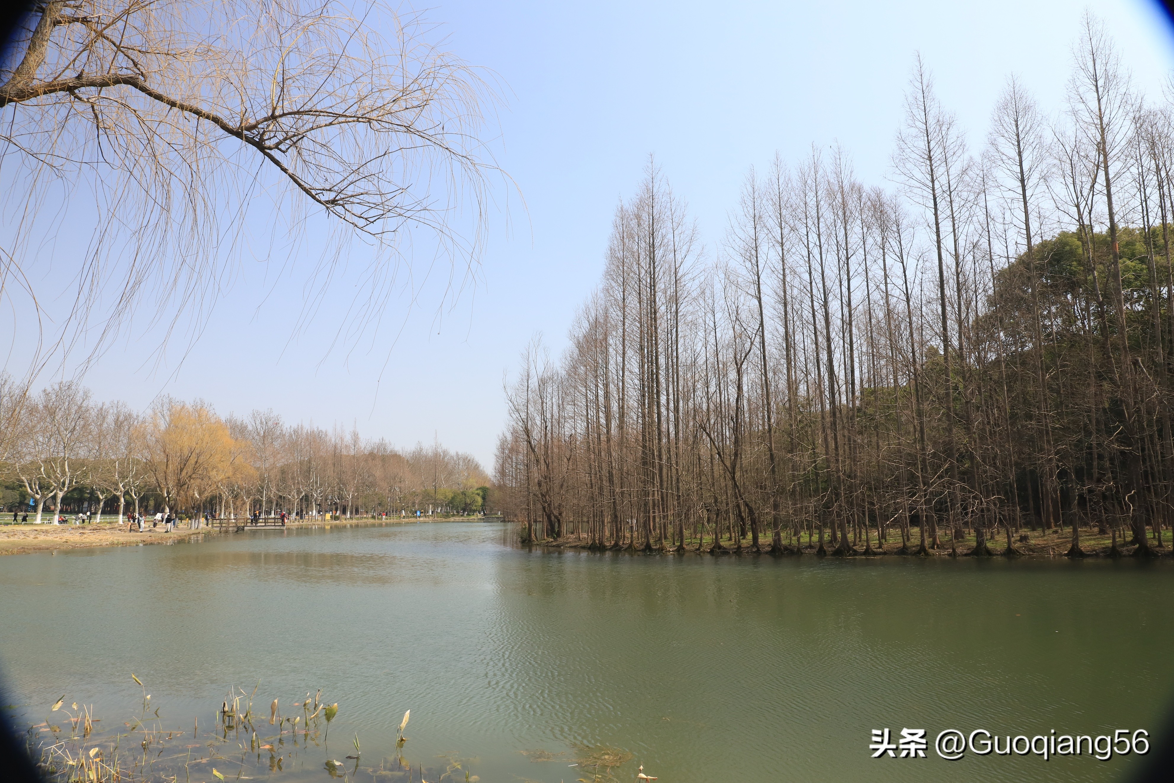 上海动物园门票老年人免费,上海双休日老年人最多的公园在哪