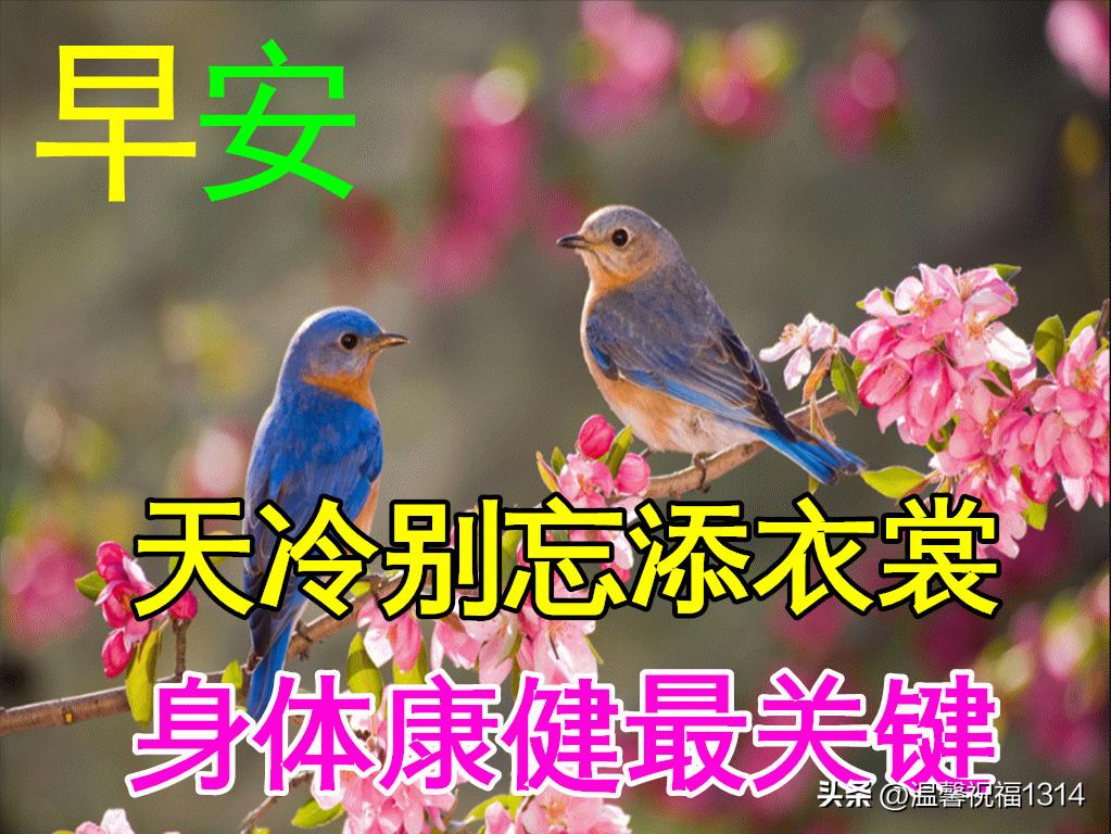 清晨问候早上好祝福动态图片,周六早上好动态图片早安心语