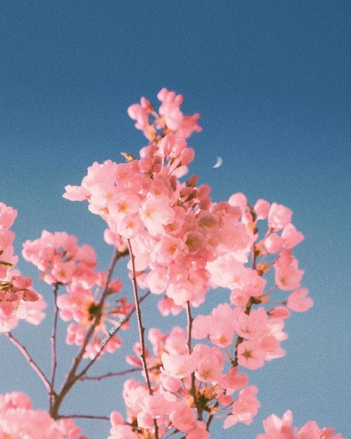 异性之间一旦缘尽会有这些信号,异性之间有这种思念才算真爱