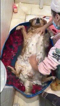 有没有结婚找不到伴娘的尴尬,快结婚了找不到伴娘怎么办啊