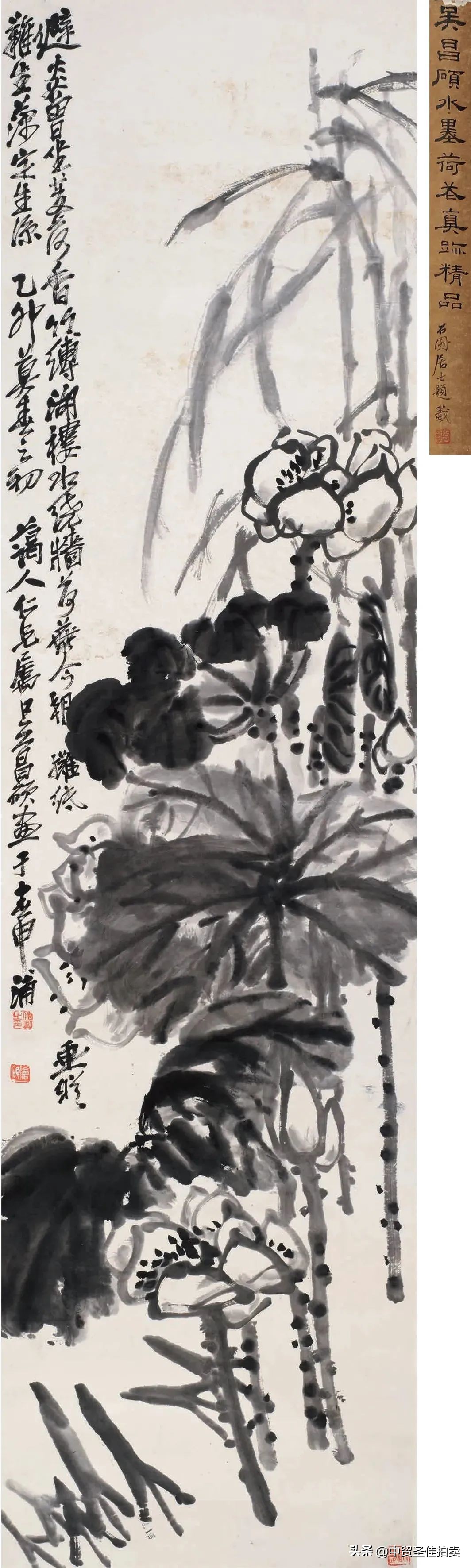 吴昌硕齐白石完整视频,吴昌硕跟齐白石