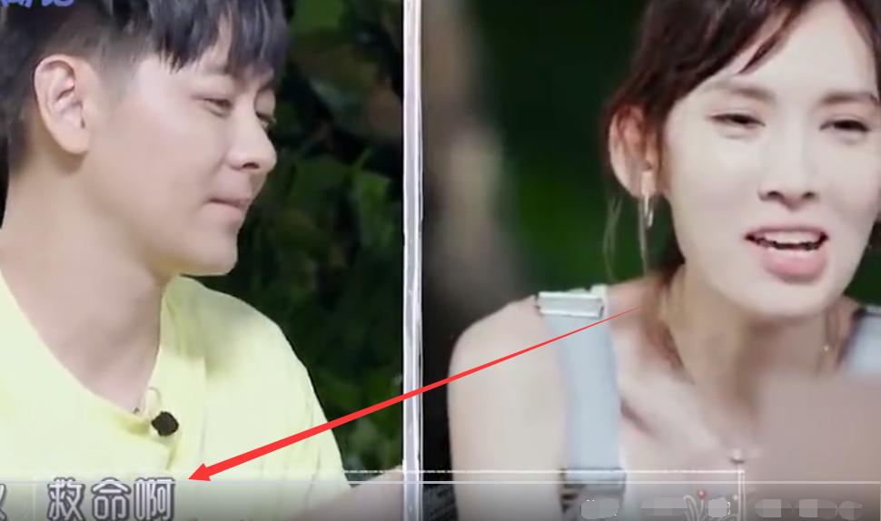 林志颖当岳父面喂陈若仪剩饭，老人家对他的前女友林心如耿耿于怀