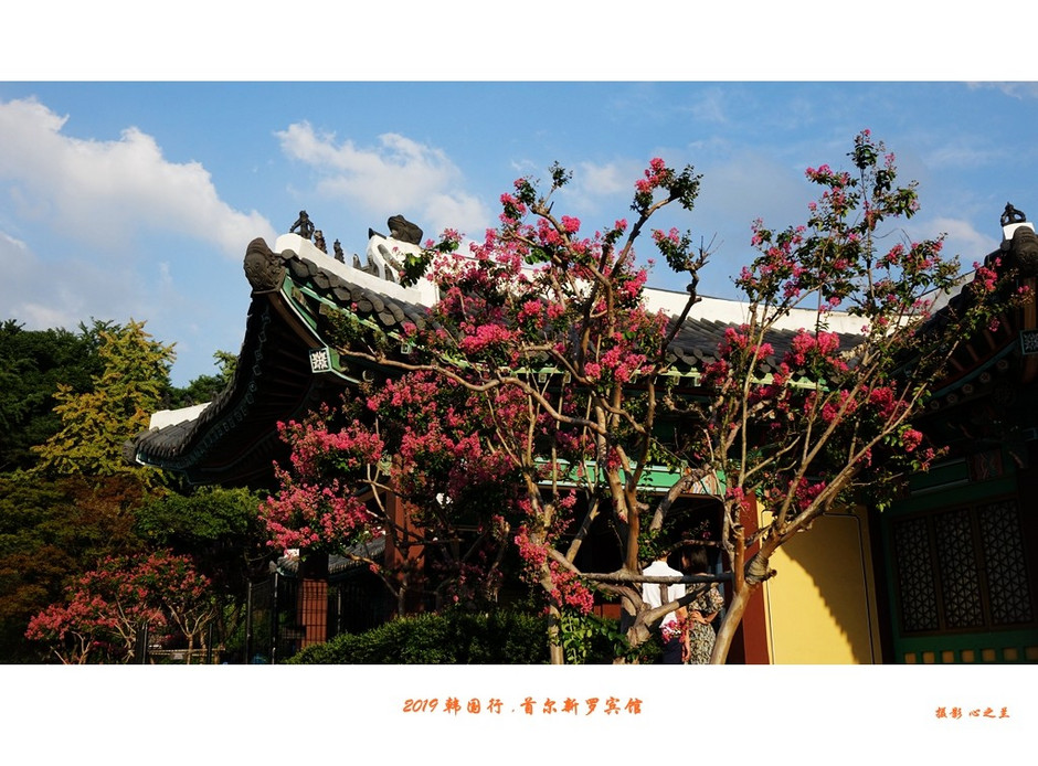 韩国旅游首尔探店攻略,韩国游记首尔宫