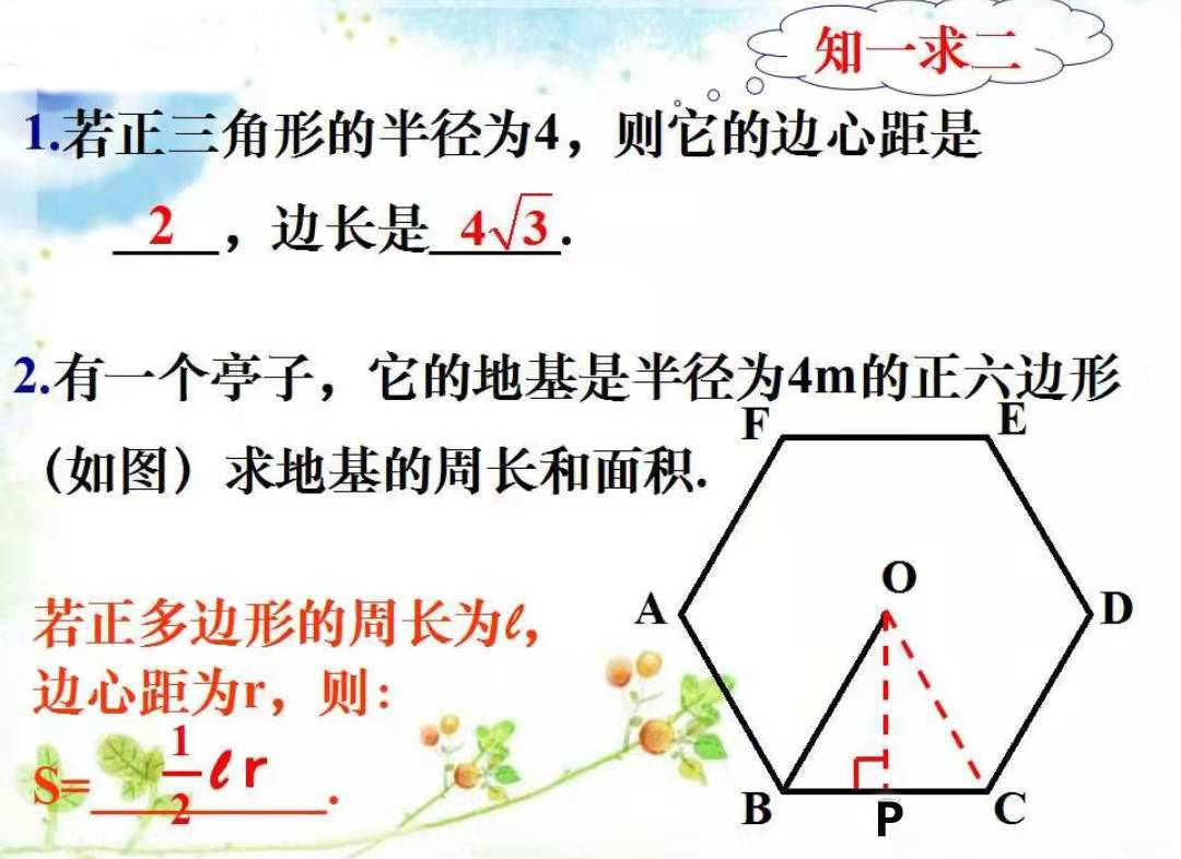 多边形与圆的初步认识,正多边形与圆