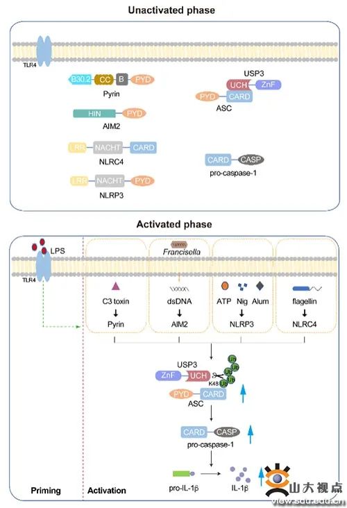 您的SDU学术一览，请及时签收！