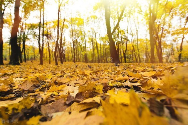 不一样的三月阳春,不一样的广州市