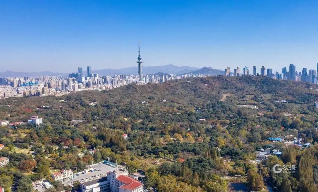 青岛踏春哪里最适合旅游,青岛冬季踏青好去处