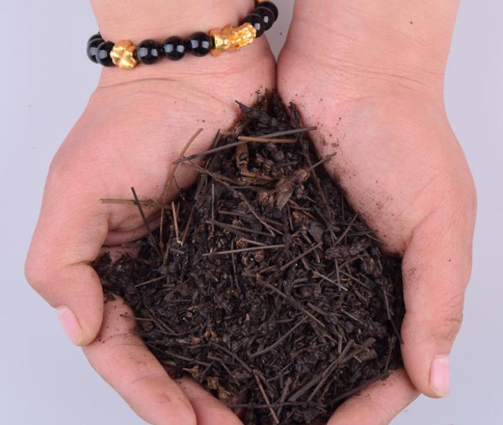 游完泳后下面瘙痒难耐，怎么办？分享一方祛湿化浊，消炎止痒