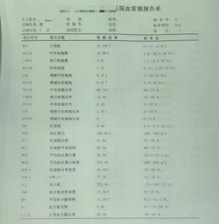 狗狗前列腺肿大保守治疗如何用药,狗狗前列腺肿大怎么治