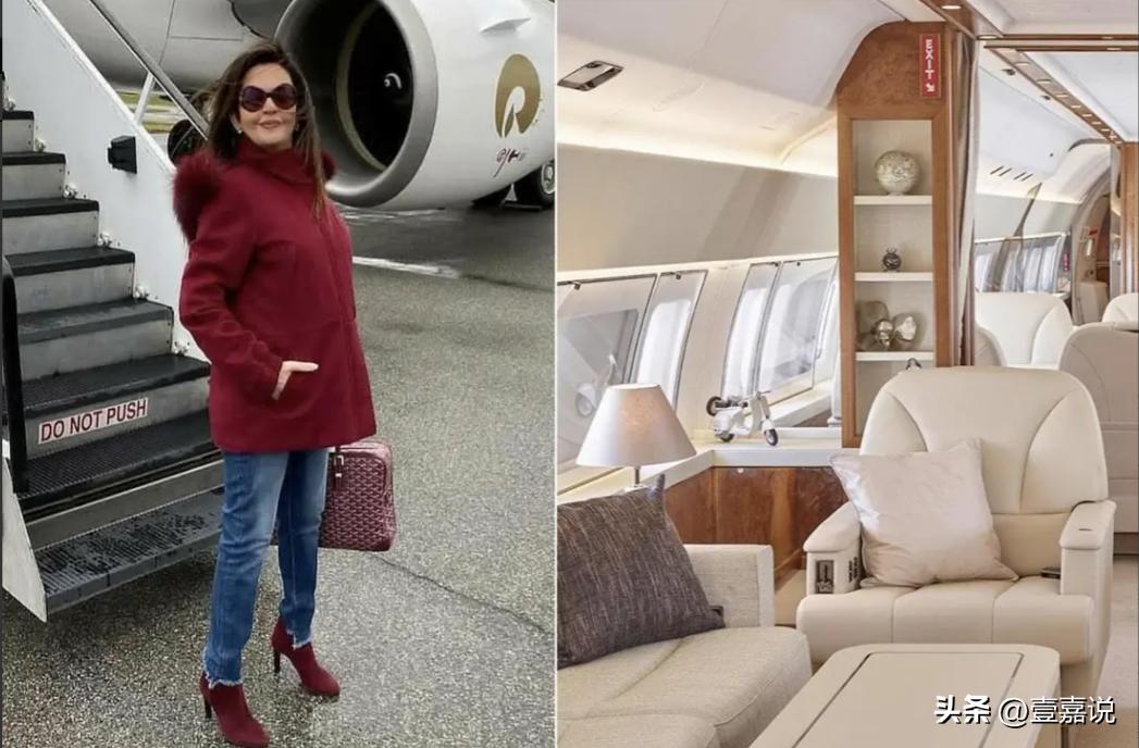 印度首富之妻有多壕,印度首富的妻子手机壳