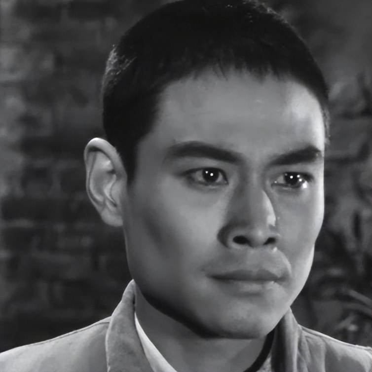 关于革命的小说红日简介,长篇小说红日沈振新的原型是谁