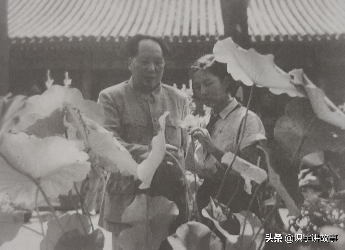 一次看个够！精心收集毛主席100张经典老照片，一起领略伟人风采